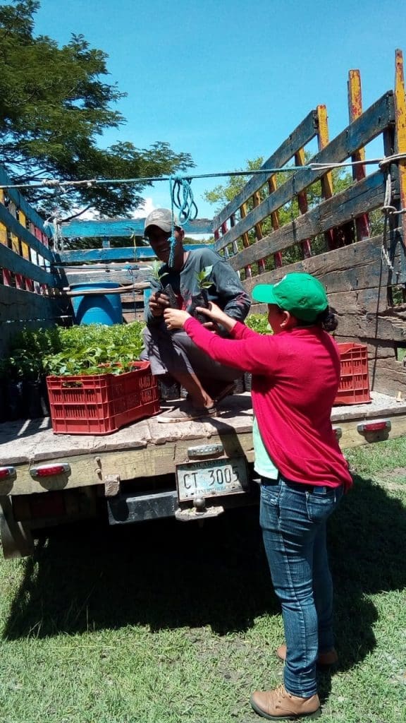 Plantas Inafor_OCCRP_Nicaragua