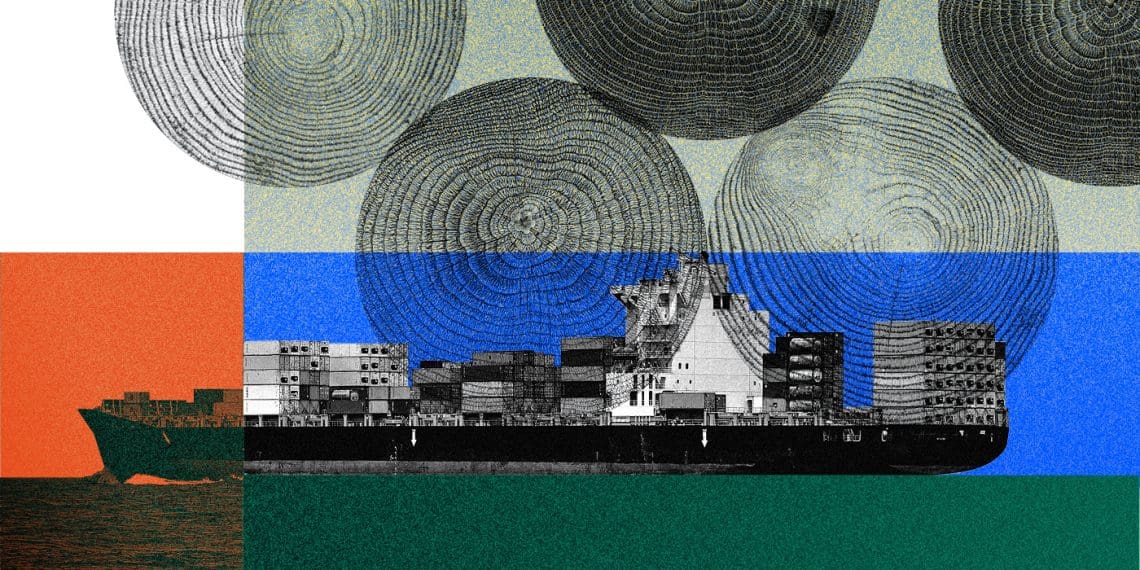 Ilustración Madera Brasil