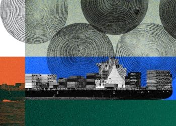 Ilustración Madera Brasil