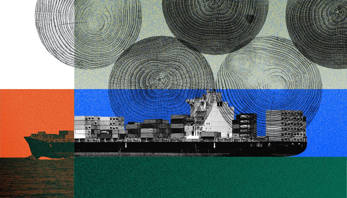 Ilustración Madera Brasil