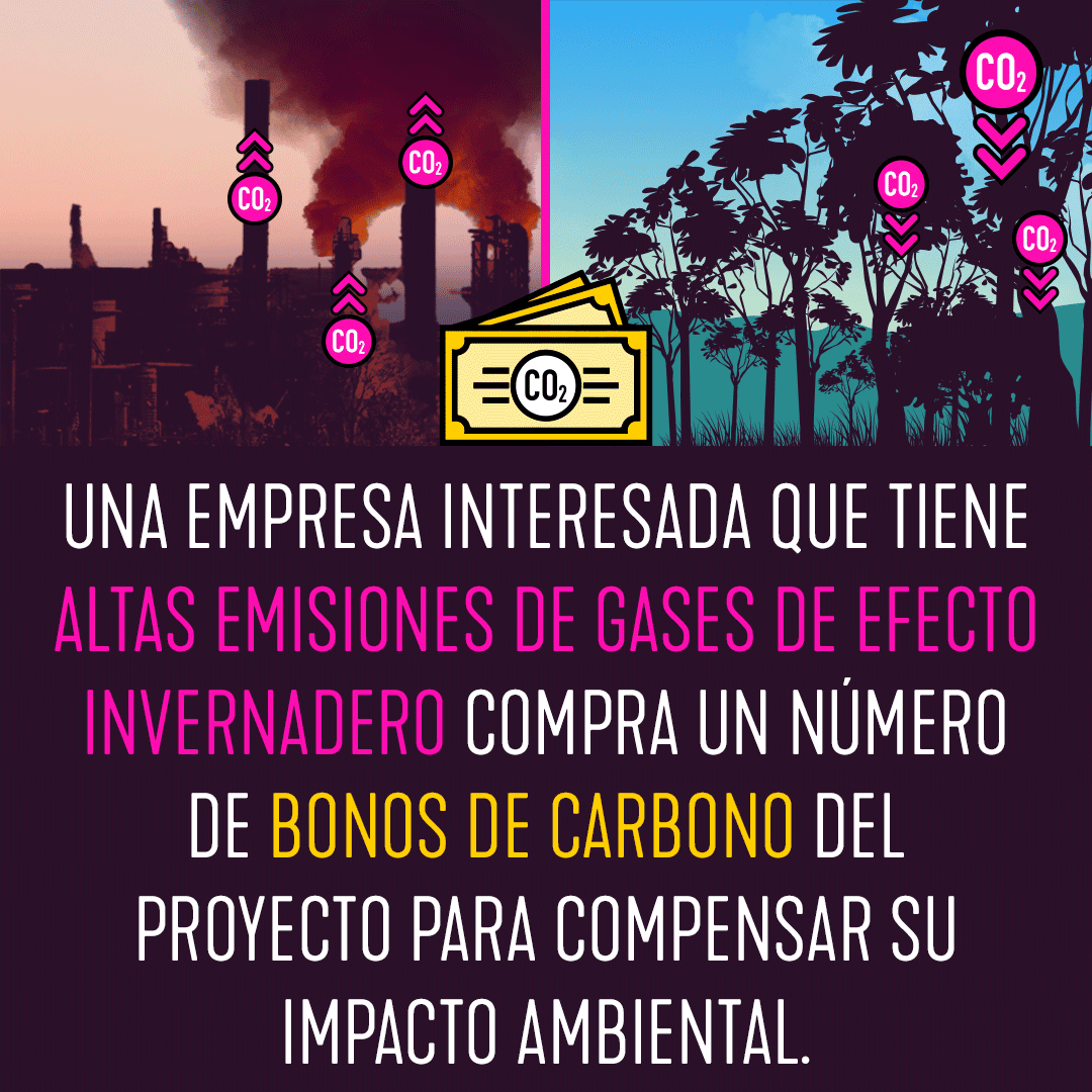 Como-Funciona-Cuadrado6