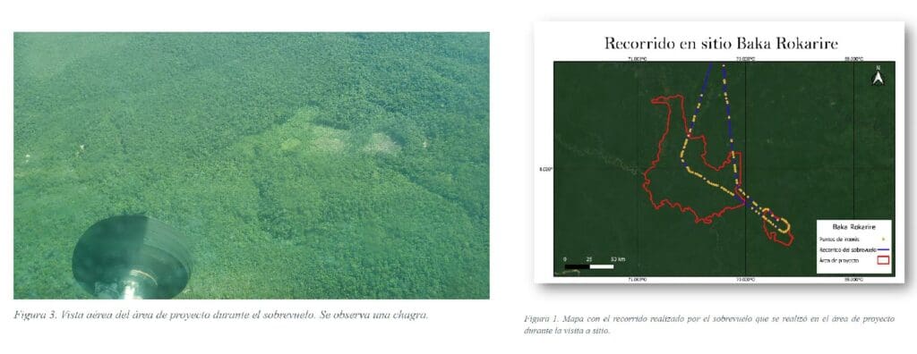 La selva del Pirá Paraná, observada por los auditores del proyecto de bonos de carbono en sobrevuelo.