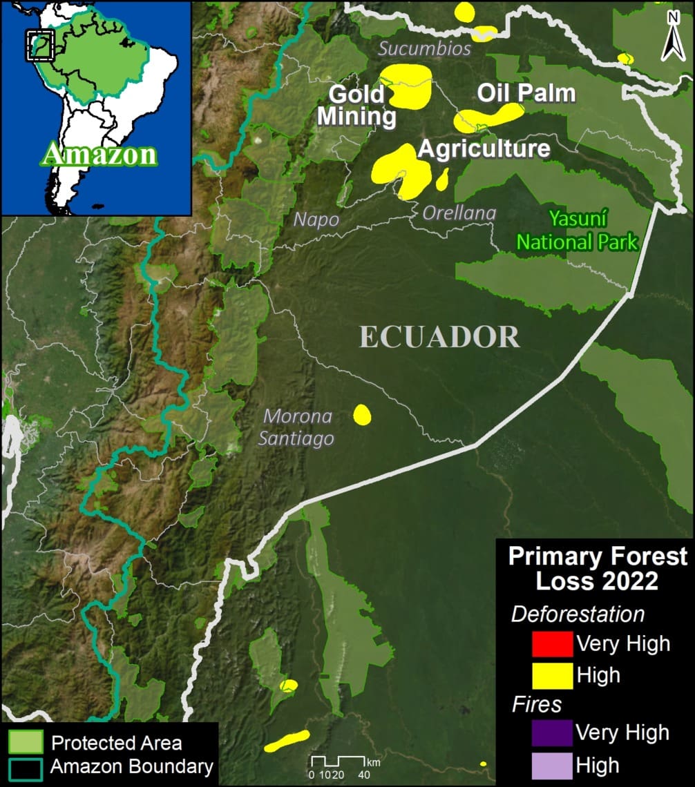 Deforestación en la Amazonía ecuatoriana