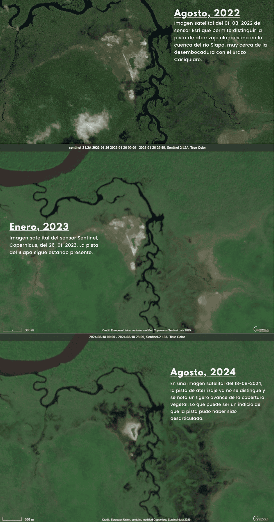 Mosaico de imágenes satelitales Sentinel de distintos momentos entre 2022 y 2025 que muestra la desactivación repentina de la pista de aterrizaje clandestina en la confluencia Siapa-Casiquiare. 40