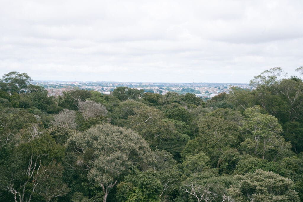 Vista desde la torre de observación del MUSA