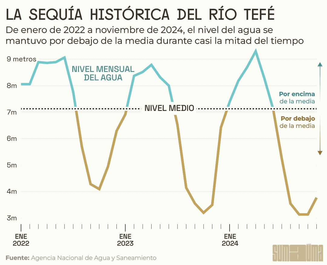 es-nivel-tefe