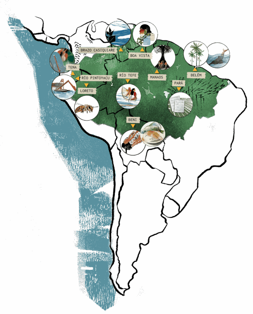 Mapa_amazonas
