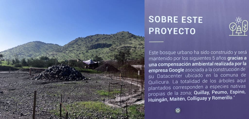 bosque de google