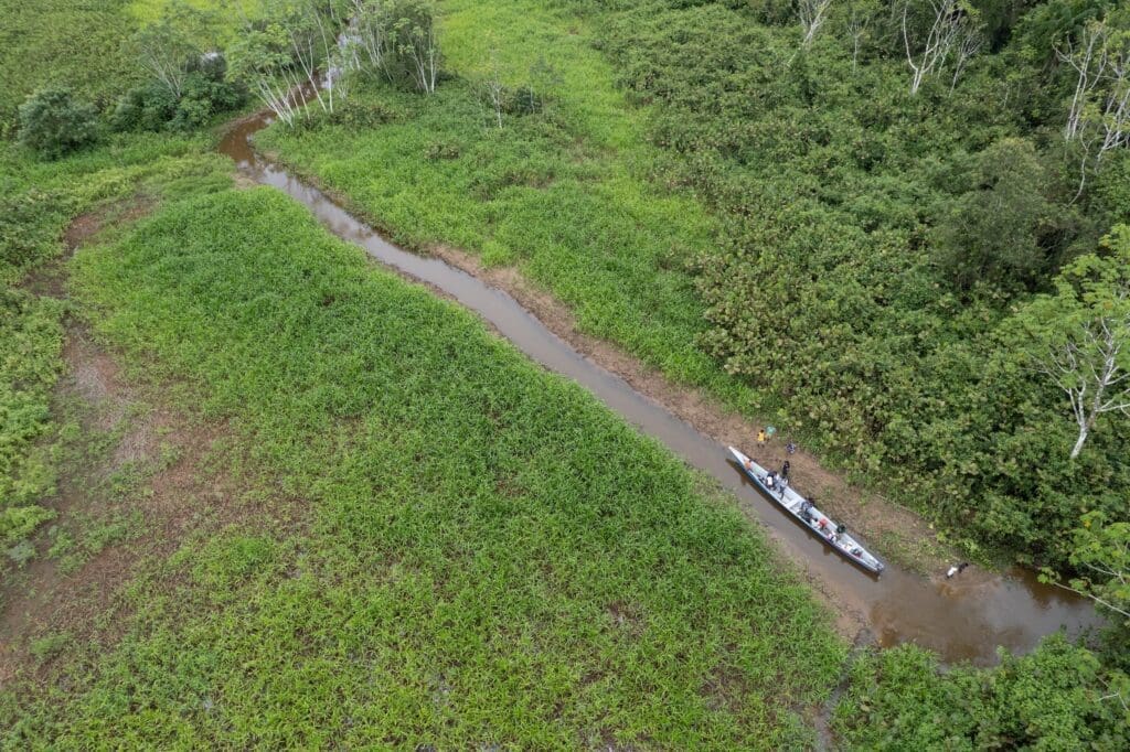 droncanoa
