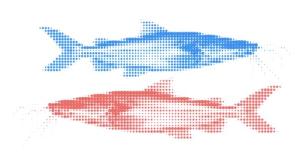 Ilustracao 6